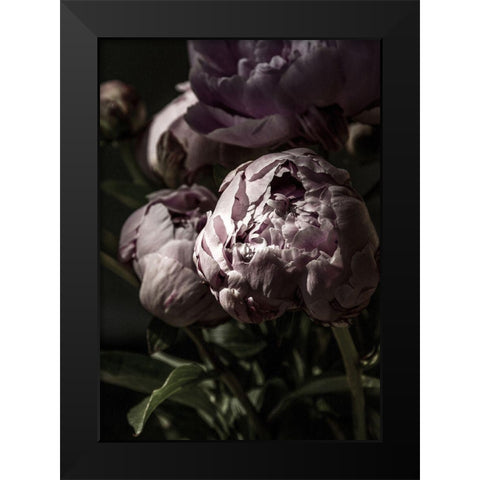 Flower 3 Black Modern Wood Framed Art Print by Incado
