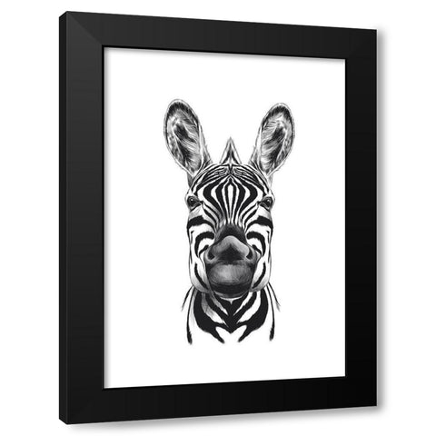 Zebra Illustration Black Modern Wood Framed Art Print with Double Matting by Incado