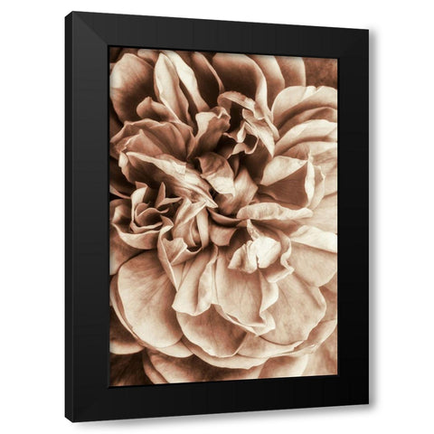 Flower Bloom 3 Black Modern Wood Framed Art Print by Incado