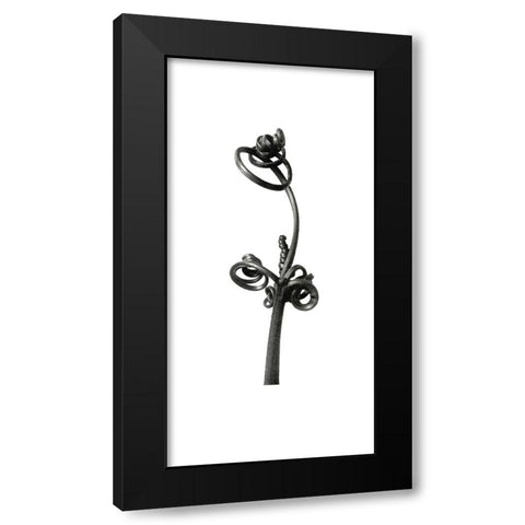 Blossfeldt Botanical No. 4 Black Modern Wood Framed Art Print by Incado