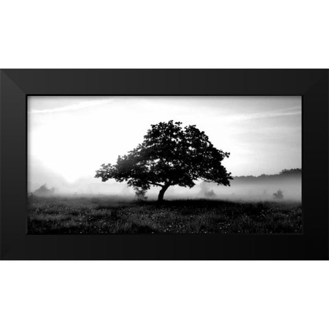 Solemn Tree Black Modern Wood Framed Art Print by PhotoINC Studio
