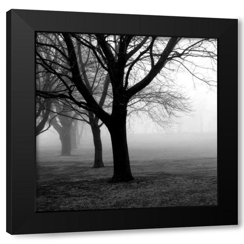 Trees Black Modern Wood Framed Art Print by PhotoINC Studio