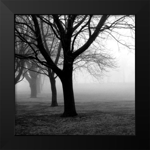 Trees Black Modern Wood Framed Art Print by PhotoINC Studio