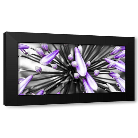 Purple Flower Black Modern Wood Framed Art Print by PhotoINC Studio