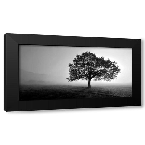 Tree in Mist Black Modern Wood Framed Art Print by PhotoINC Studio