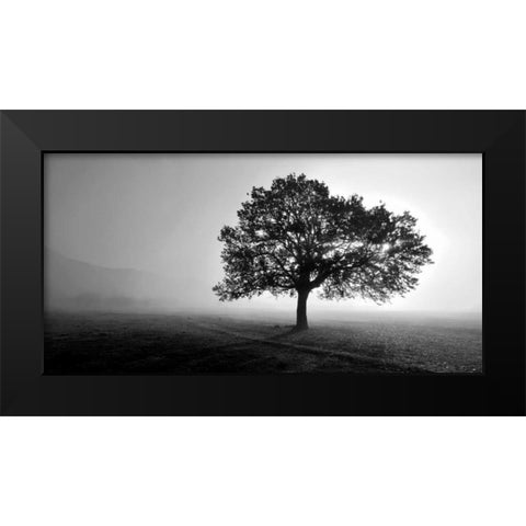 Tree in Mist Black Modern Wood Framed Art Print by PhotoINC Studio