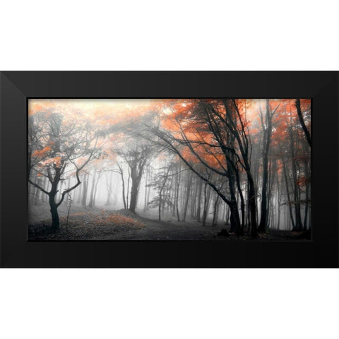 Autumn Woods Black Modern Wood Framed Art Print by PhotoINC Studio
