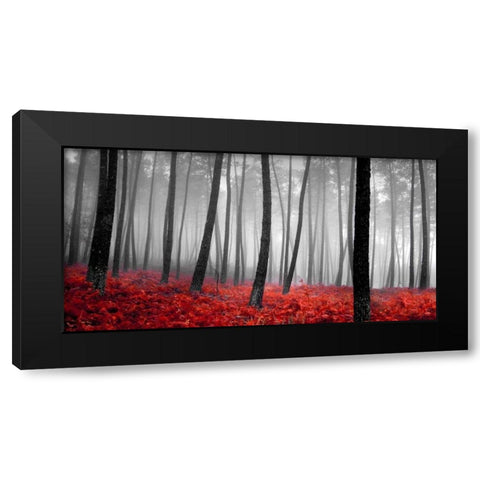 Autumn Woods Black Modern Wood Framed Art Print by PhotoINC Studio