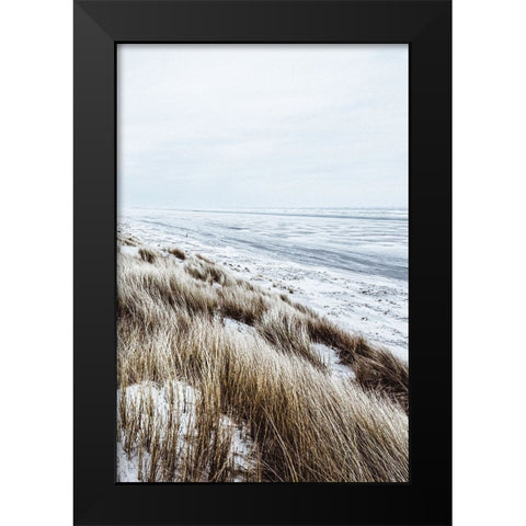 Coastal II Black Modern Wood Framed Art Print by Incado
