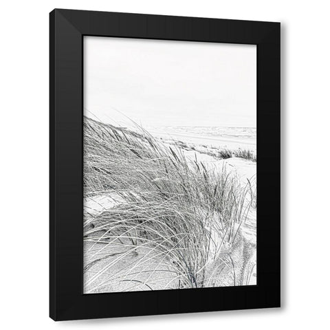 Coastal III Black Modern Wood Framed Art Print by Incado