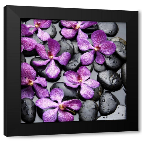 Zen Pebbles Black Modern Wood Framed Art Print with Double Matting by PhotoINC Studio