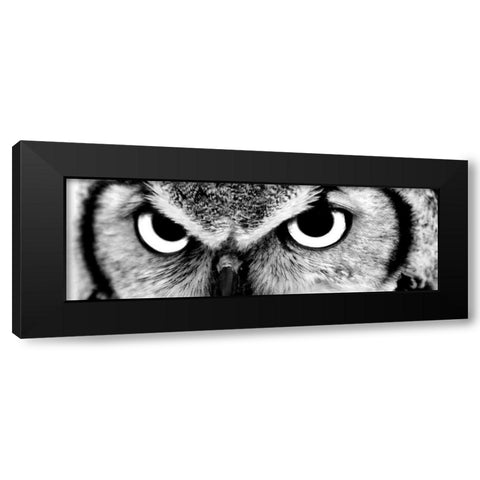 Owl Black Modern Wood Framed Art Print by PhotoINC Studio