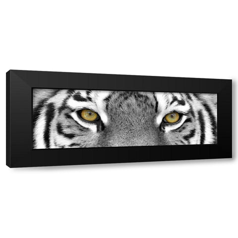Tiger Black Modern Wood Framed Art Print by PhotoINC Studio