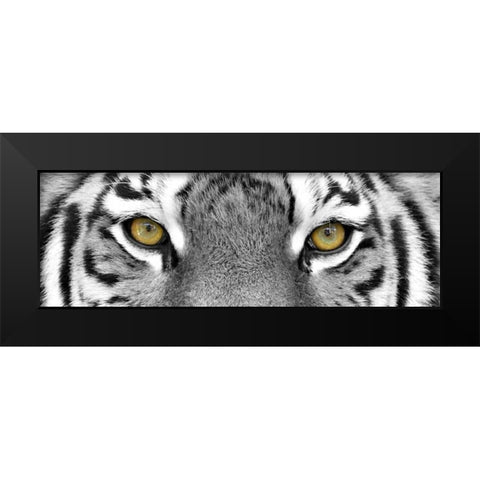 Tiger Black Modern Wood Framed Art Print by PhotoINC Studio