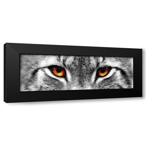 Lynx Black Modern Wood Framed Art Print with Double Matting by PhotoINC Studio