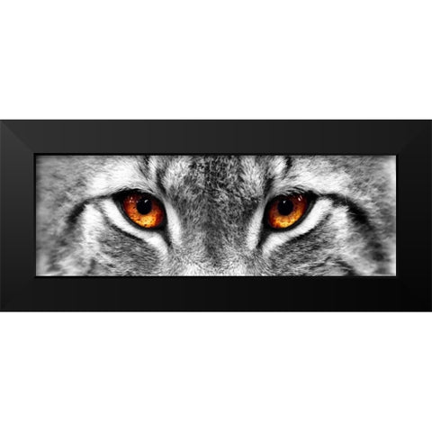 Lynx Black Modern Wood Framed Art Print by PhotoINC Studio