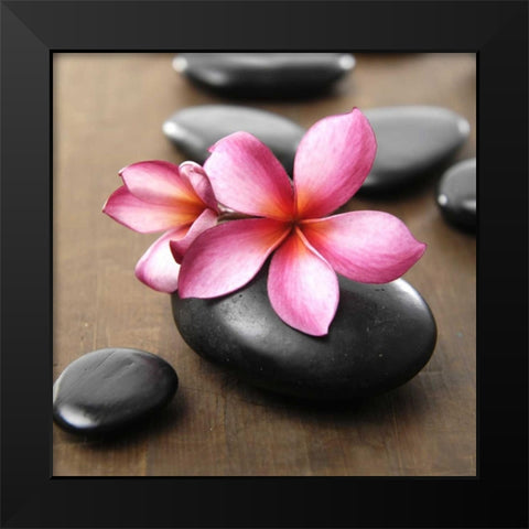 Zen Pebbles Black Modern Wood Framed Art Print by PhotoINC Studio