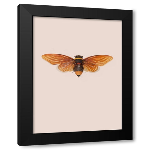 Dineutus Black Modern Wood Framed Art Print by Incado