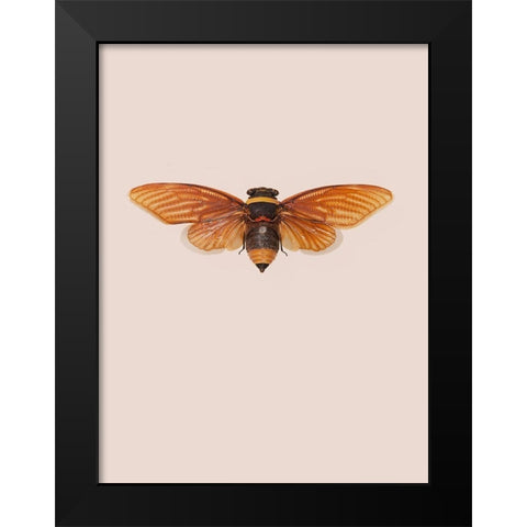 Dineutus Black Modern Wood Framed Art Print by Incado