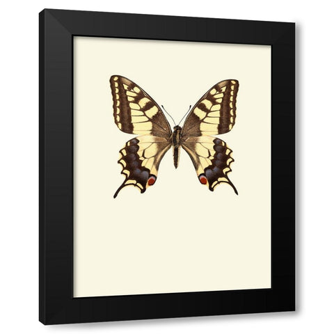 Papilio machaon Black Modern Wood Framed Art Print with Double Matting by Incado