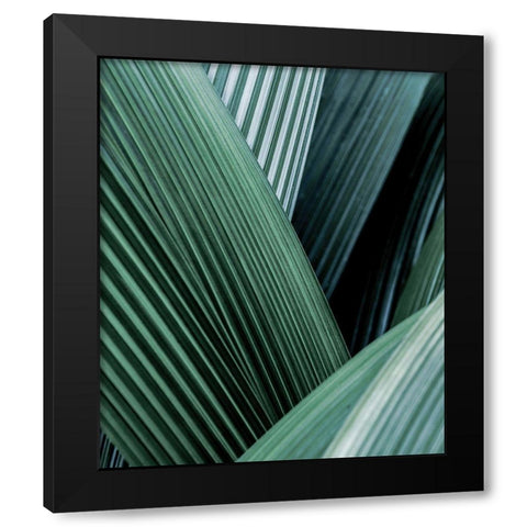 Close up I Black Modern Wood Framed Art Print by Incado