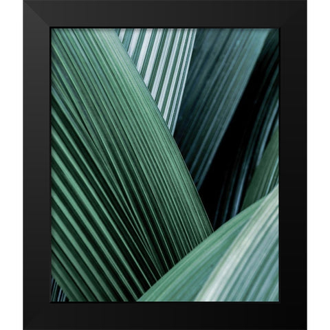 Close up I Black Modern Wood Framed Art Print by Incado