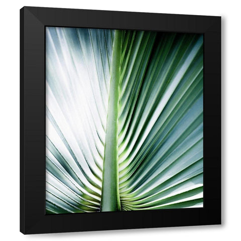 Close up III Black Modern Wood Framed Art Print with Double Matting by Incado