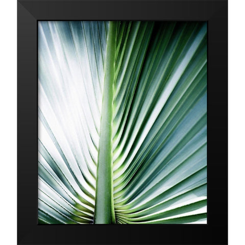 Close up III Black Modern Wood Framed Art Print by Incado