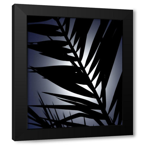 Close up IV Black Modern Wood Framed Art Print with Double Matting by Incado