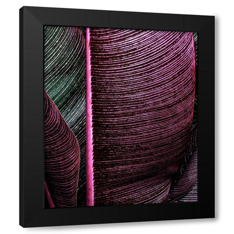 Close up VIII Black Modern Wood Framed Art Print with Double Matting by Incado