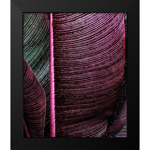 Close up VIII Black Modern Wood Framed Art Print by Incado