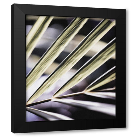 Close up IX Black Modern Wood Framed Art Print with Double Matting by Incado