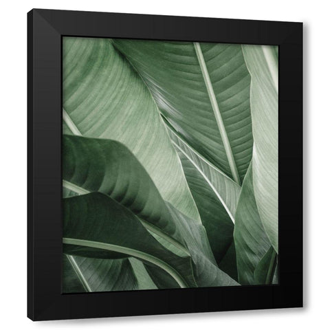 Close up X Black Modern Wood Framed Art Print with Double Matting by Incado