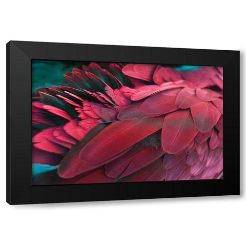 Feather Black Modern Wood Framed Art Print by PhotoINC Studio