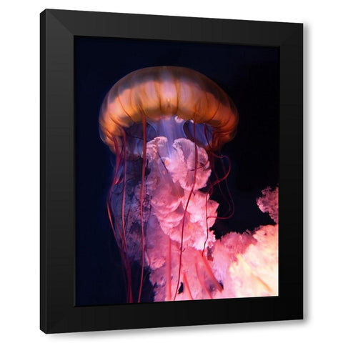 Gelly Black Modern Wood Framed Art Print with Double Matting by PhotoINC Studio