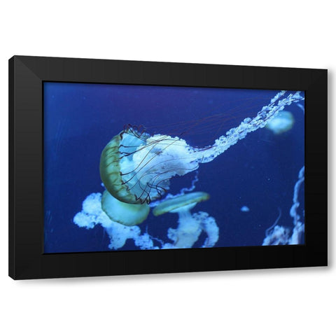 Jelly Black Modern Wood Framed Art Print by PhotoINC Studio