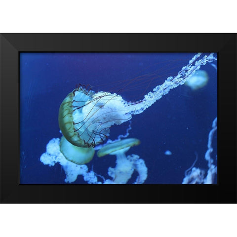 Jelly Black Modern Wood Framed Art Print by PhotoINC Studio