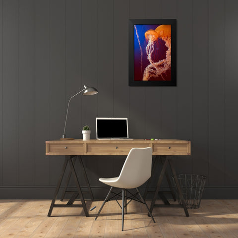 Jelly 3 Black Modern Wood Framed Art Print by PhotoINC Studio