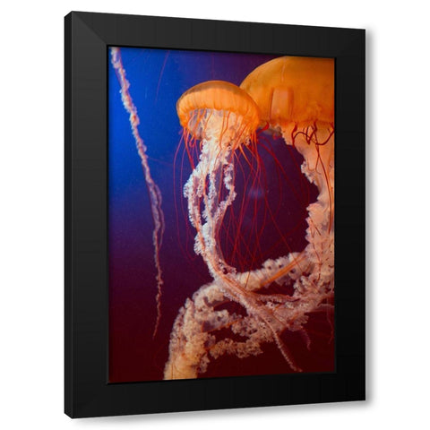 Jelly 3 Black Modern Wood Framed Art Print by PhotoINC Studio