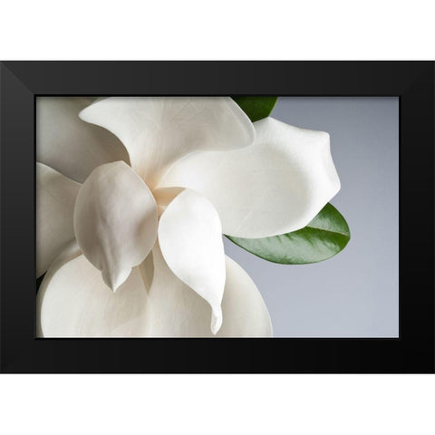 Magnolia Black Modern Wood Framed Art Print by PhotoINC Studio