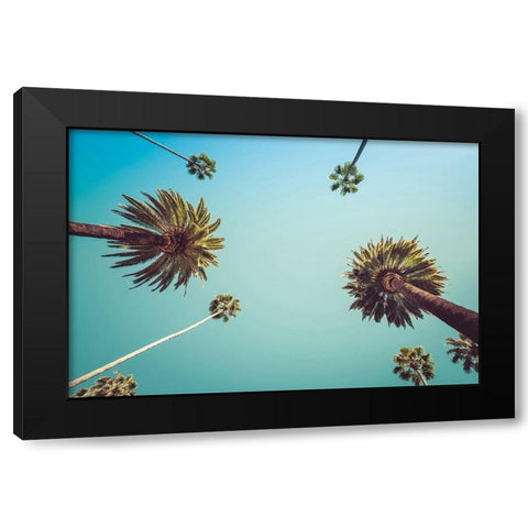 Palms Black Modern Wood Framed Art Print by PhotoINC Studio