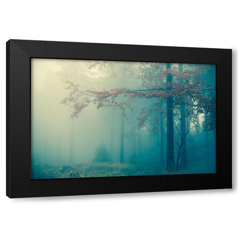 Woods Black Modern Wood Framed Art Print with Double Matting by PhotoINC Studio