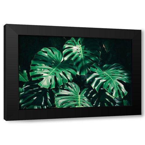 Tropical Black Modern Wood Framed Art Print by PhotoINC Studio