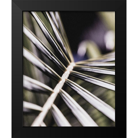 Close up XII Black Modern Wood Framed Art Print by Incado