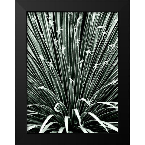 Leaf V Black Modern Wood Framed Art Print by Incado