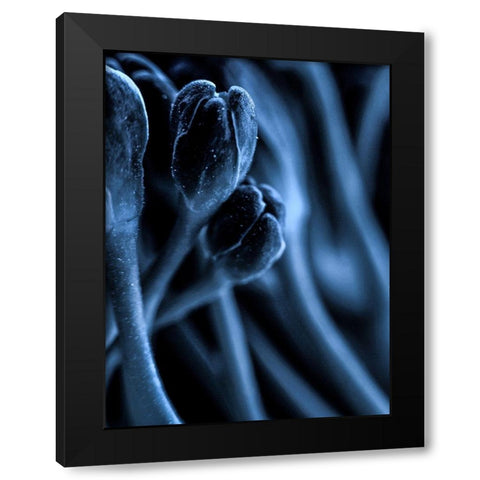 Leaf VII Black Modern Wood Framed Art Print by Incado