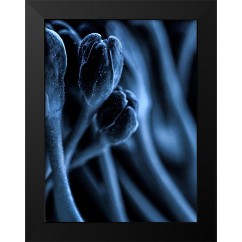 Leaf VII Black Modern Wood Framed Art Print by Incado