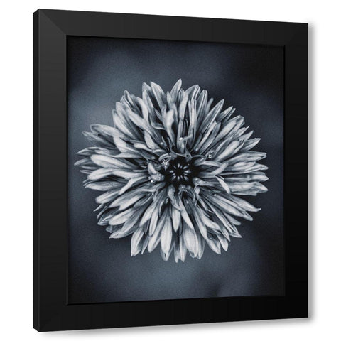 Autumn I Black Modern Wood Framed Art Print by Incado