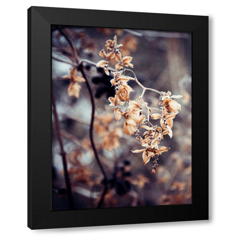 Autumn II Black Modern Wood Framed Art Print by Incado