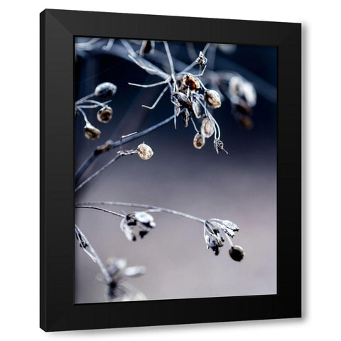 Autumn III Black Modern Wood Framed Art Print by Incado